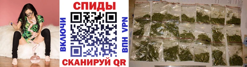 как найти наркотики  Макушино  Бутират BDO 33% 