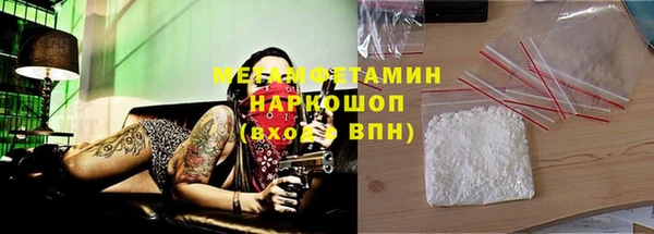 крисы Кулебаки