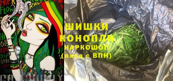 спайс Лагань