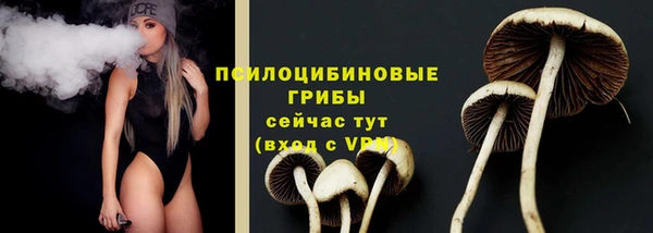 спайс Лагань
