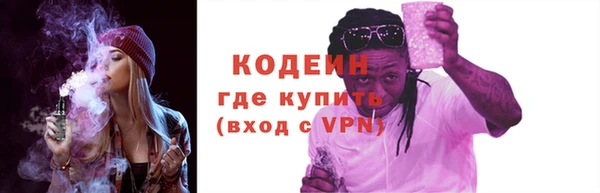 индика Лабытнанги