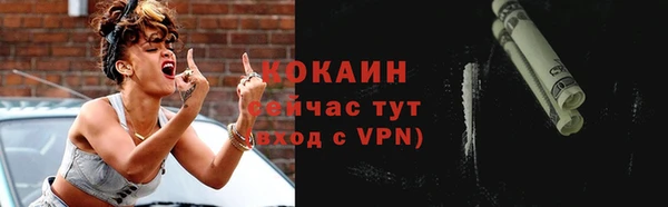 крисы Кулебаки