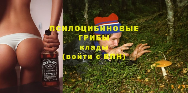 спайс Лагань