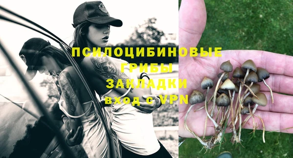 индика Лабытнанги
