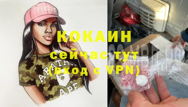 индика Лабытнанги