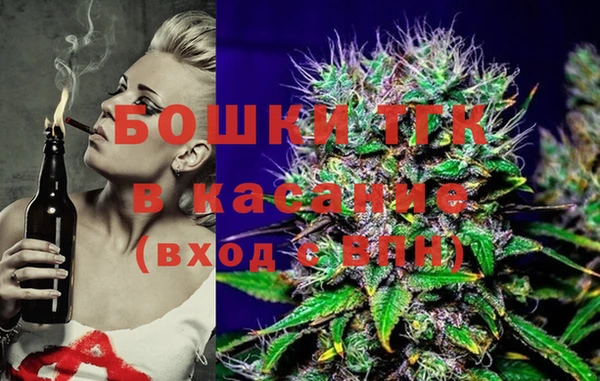 крисы Кулебаки