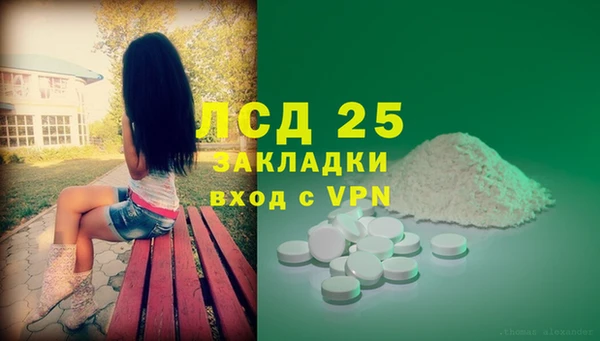 индика Лабытнанги